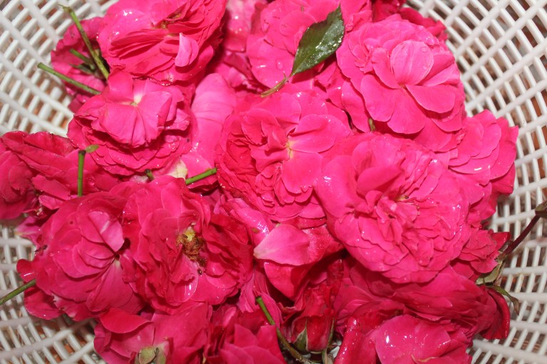 ROSE SYRUP MY FOOD PASSION